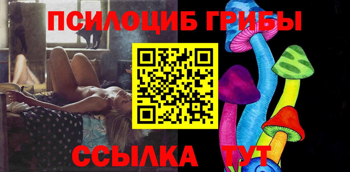 Галлюциногенные грибы Cubensis Аргун